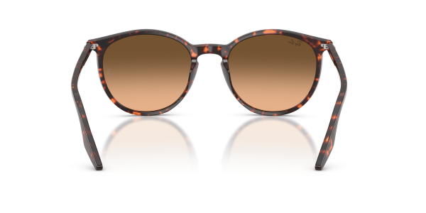 0rb2204__14293b__p21__shad__bk