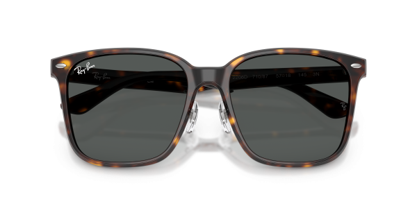 0rb2206d__710_87__p21__shad__cfr 0rb2206d__710_87__p21__shad__cfr