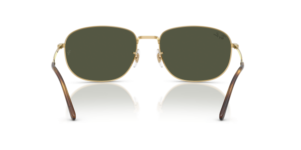 0rb3754__001_31__p21__shad__bk