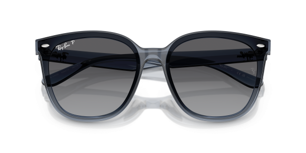 0rb4423d__6592t3__p21__shad__cfr 0rb4423d__6592t3__p21__shad__cfr