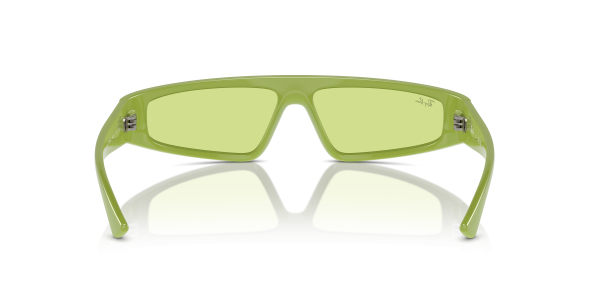 0rb4432__6763_2__p21__shad__bk