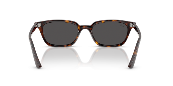 0rb4456__135987__p21__shad__bk