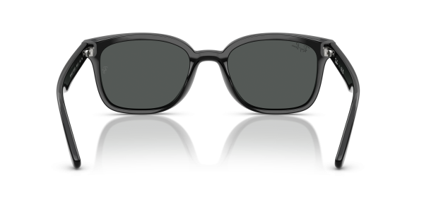 0rb4461d__601_87__p21__shad__bk