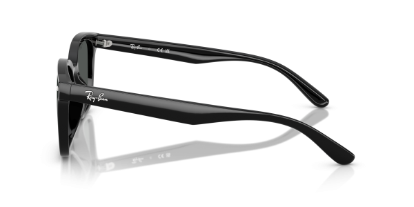 0rb4461d__601_87__p21__shad__lt