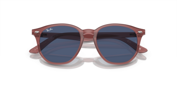 0rj9070s__715680__p21__shad__cfr