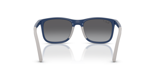 0rj9084s__7187t3__p21__shad__bk