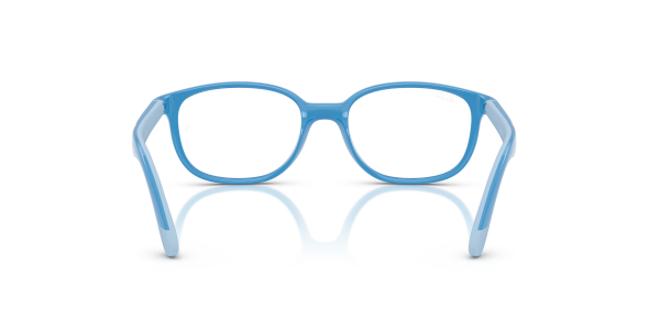 0ry1632__7509__p21__shad__bk