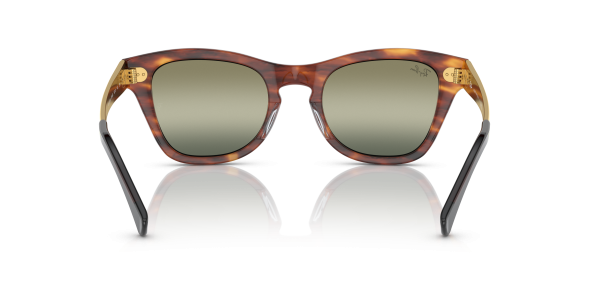 0rb0707sm__954_g4__p21__shad__bk