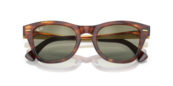 0rb0707sm__954_g4__p21__shad__cfr