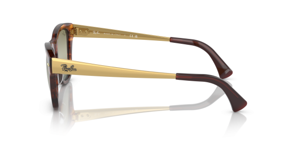 0rb0707sm__954_g4__p21__shad__lt