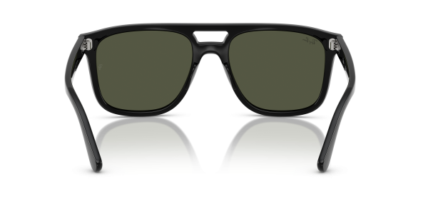 0rb2213__901_31__p21__shad__bk