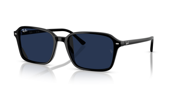 RAIMOND TRANSITIONS®