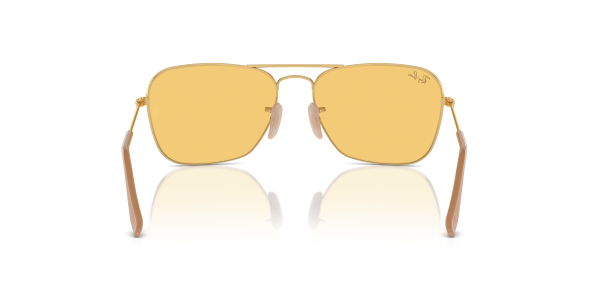 0rb3136__001_4a__p21__shad__bk