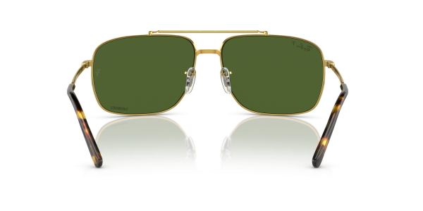 0rb3796__9196p1__p21__shad__bk