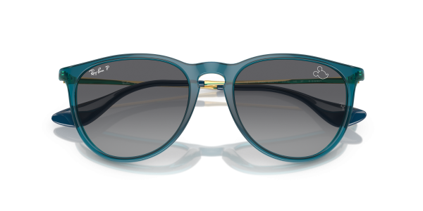 0rb4171__6695t3__p21__shad__cfr