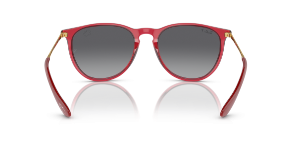 0rb4171__6696t3__p21__shad__bk