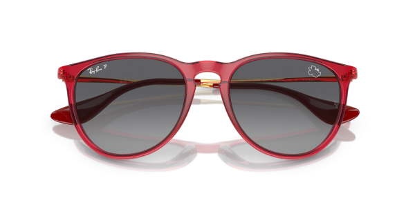 0rb4171__6696t3__p21__shad__cfr