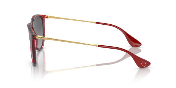 0rb4171__6696t3__p21__shad__lt