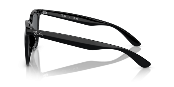 0rb4379d__601_87__p21__shad__lt