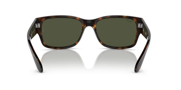 0rb4388__710_31__p21__shad__bk 0rb4388__710_31__p21__shad__bk