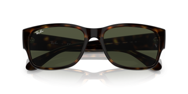 0rb4388__710_31__p21__shad__cfr 0rb4388__710_31__p21__shad__cfr