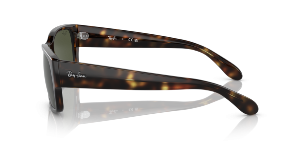 0rb4388__710_31__p21__shad__lt 0rb4388__710_31__p21__shad__lt