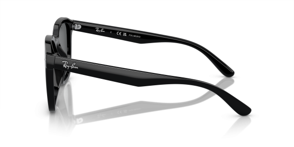 0rb4392d__601_81__p21__shad__lt