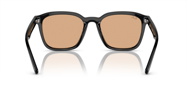 0rb4392d__601_93__p21__shad__bk