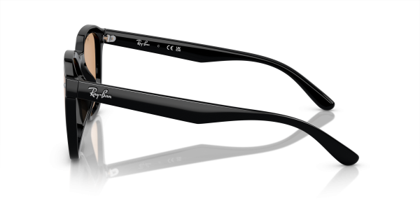 0rb4392d__601_93__p21__shad__lt