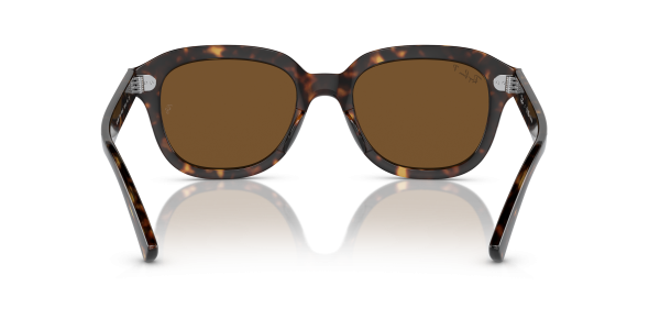 0rb4398__902_57__p21__shad__bk