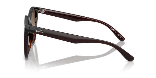 0rb4423d__714_13__p21__shad__lt