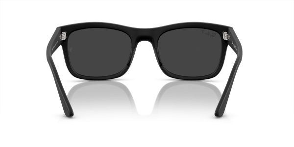 0rb4428__601s48__p21__shad__bk