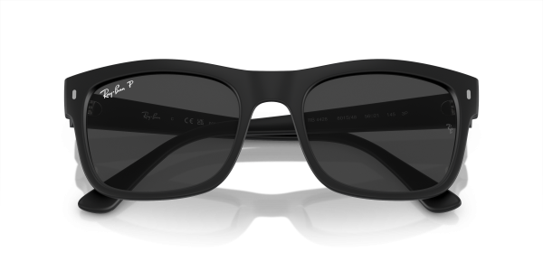 0rb4428__601s48__p21__shad__cfr