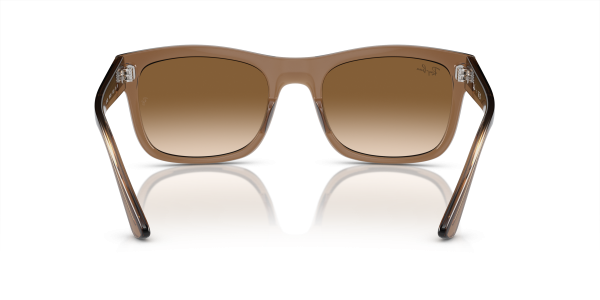 0rb4428__664051__p21__shad__bk