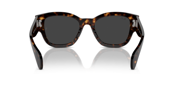 0rb7681s__902_48__p21__shad__bk