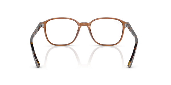 0rx5393__8227__p21__shad__bk