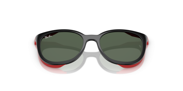 0ry1631c__392871__p21__shad__cfr